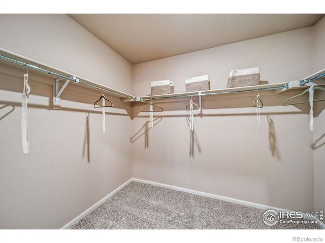 4369 Alderwood Drive, Johnstown, CO 80534