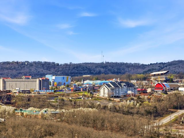 351 South Wildwood Drive 3, Branson, MO 65616