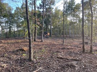 0 Waynoe Road, Ashland City, TN 37015