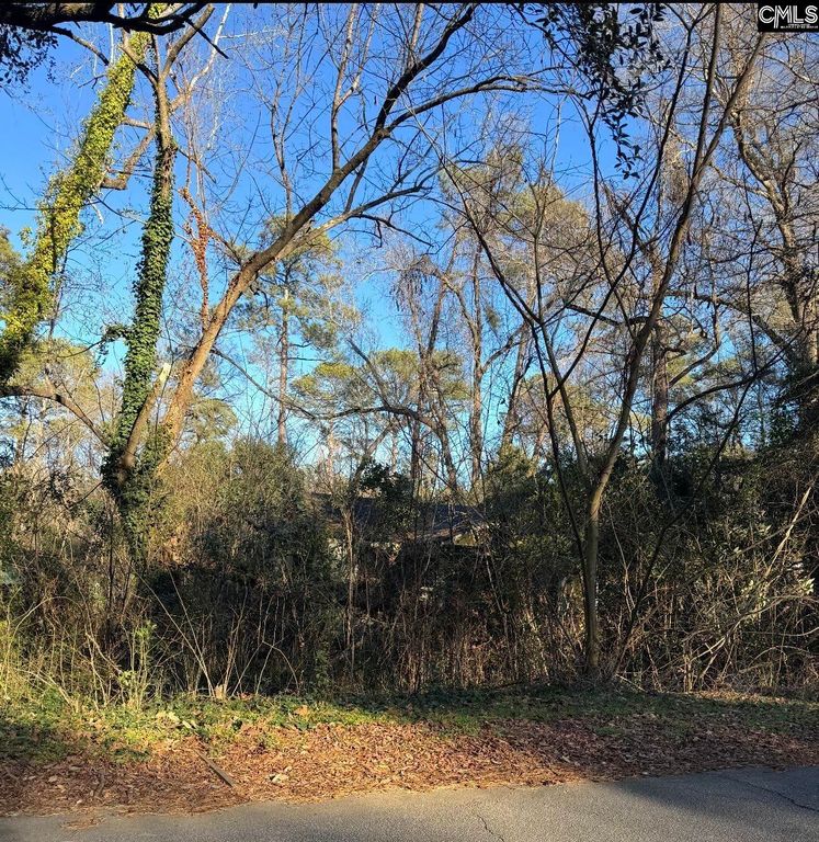 1522 Jerome Drive, Columbia, SC 29203