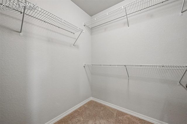 6796 Spruce Hill Court, Colorado Springs, CO 80923