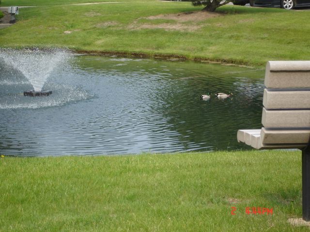 708 N Briar Hill Lane 2, Addison, IL 60101