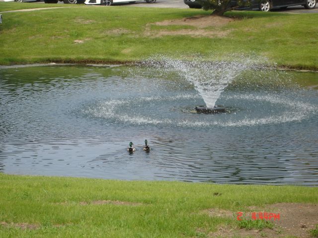 708 N Briar Hill Lane 2, Addison, IL 60101