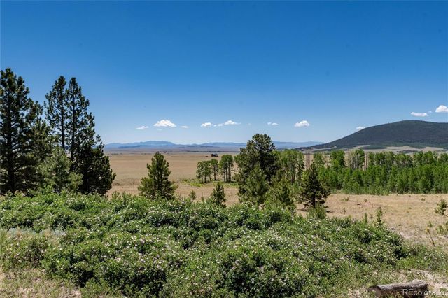 1301 Sheep Ridge Road, Fairplay, CO 80440