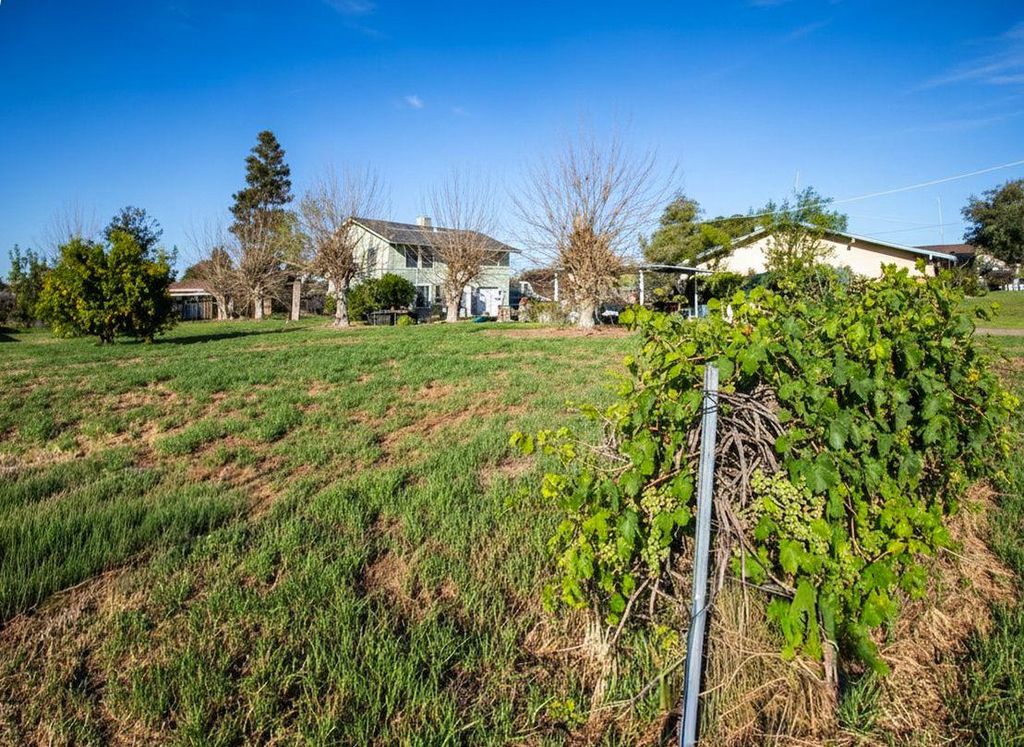 Image 26 of property listing at 3942 E Marcus Avenue, Friant, CA 93626