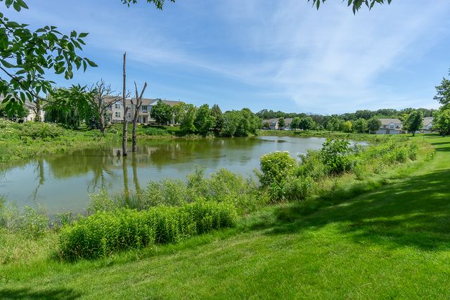 110 Terra Firma Lane, Volo, IL 60020