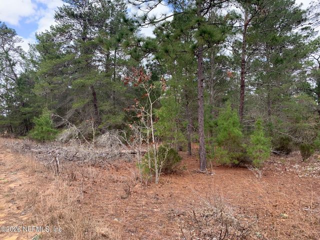 XXX ST LUCIE Avenue, Interlachen, FL 32148