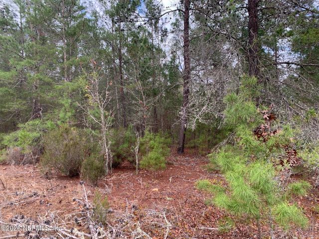 XXX ST LUCIE Avenue, Interlachen, FL 32148