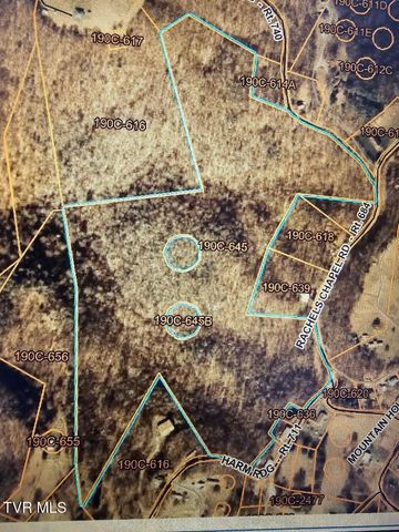 Tbd Rachels Chapel Road, Coeburn, VA 24230