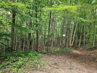 Tbd Rachels Chapel Road, Coeburn, VA 24230