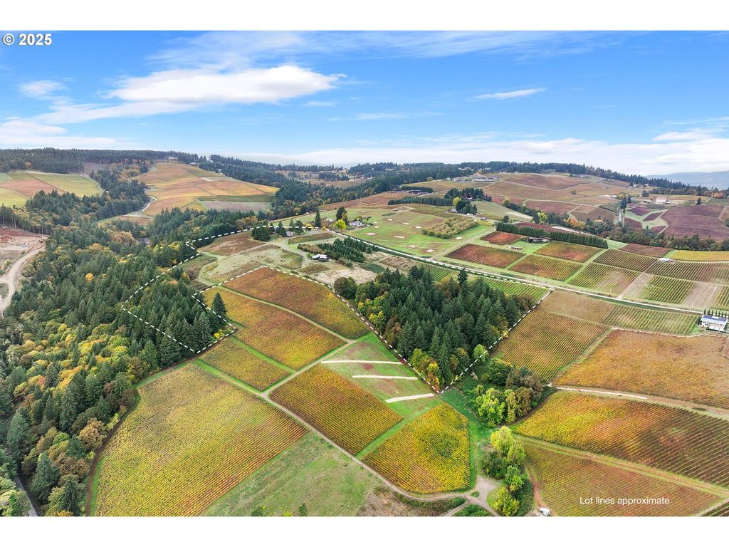 9325 Ne WORDEN HILL Rd, Dundee, OR 97115