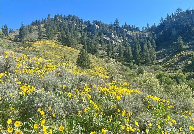 9505 Plateau Road, Cashmere, WA 98815