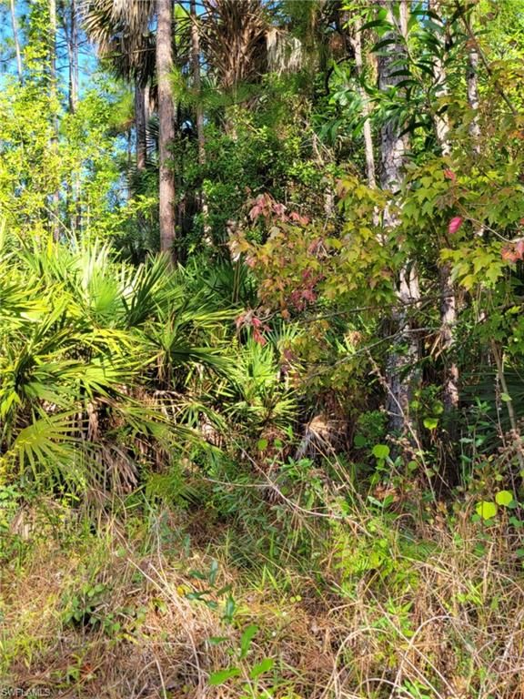 3415 41st AVE NE, NAPLES, FL 34120 — exterior