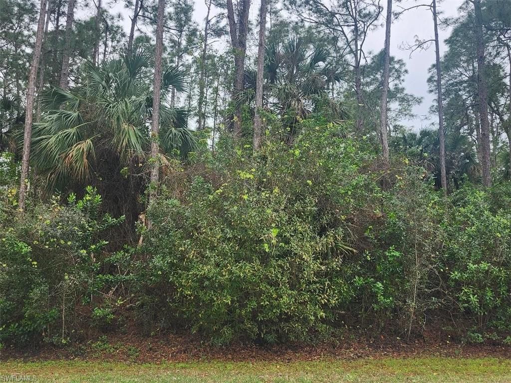 3415 41st AVE NE, NAPLES, FL 34120 — photo 2