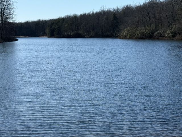 107 Chickory Ln, Monteagle, TN 37356