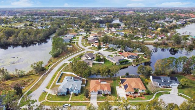 21729 MCCALLIE COURT, Land O Lakes, FL 34637