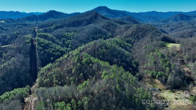 295 Bennett Branch Road, Green Mountain, NC 28740