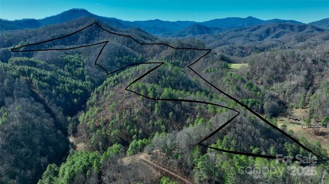 295 Bennett Branch Road, Green Mountain, NC 28740