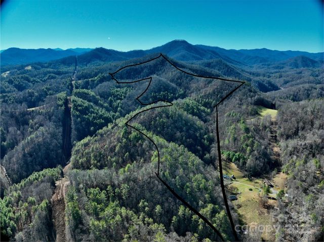 295 Bennett Branch Road, Green Mountain, NC 28740