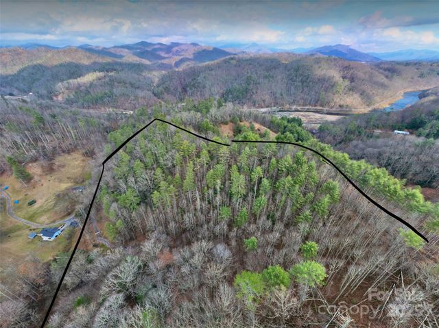 295 Bennett Branch Road, Green Mountain, NC 28740