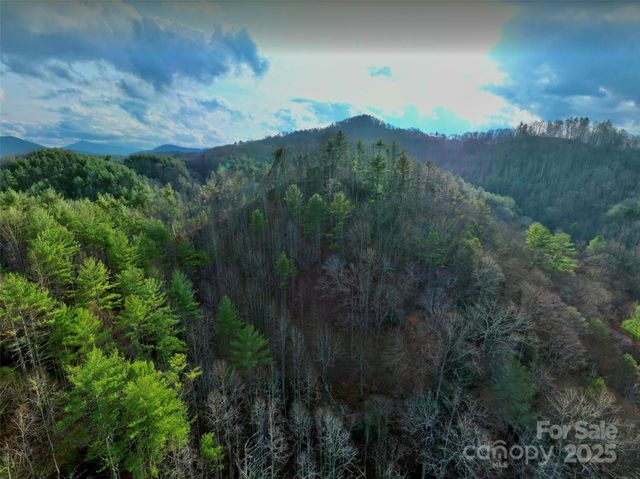 295 Bennett Branch Road, Green Mountain, NC 28740