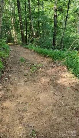 295 Bennett Branch Road, Green Mountain, NC 28740