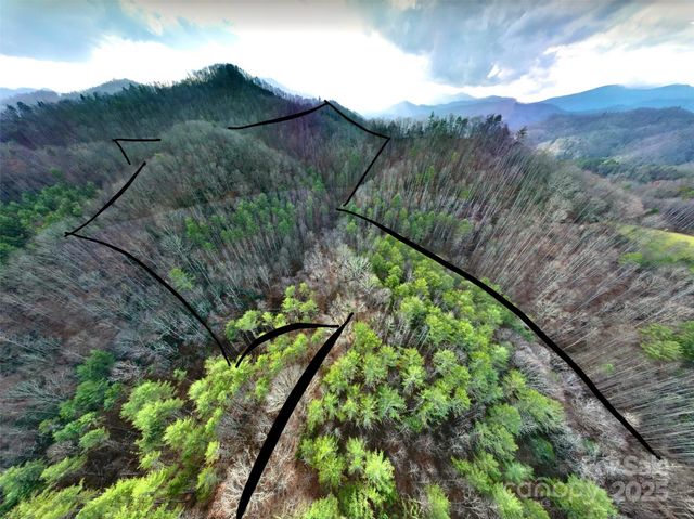 295 Bennett Branch Road, Green Mountain, NC 28740