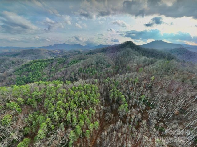 295 Bennett Branch Road, Green Mountain, NC 28740