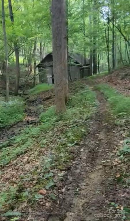 295 Bennett Branch Road, Green Mountain, NC 28740