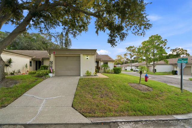 3207 GREEN DOLPHIN STREET, Tarpon Springs, FL 34689