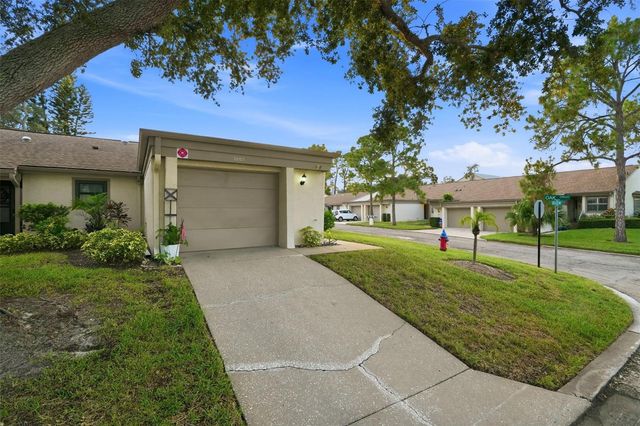 3207 GREEN DOLPHIN STREET, Tarpon Springs, FL 34689