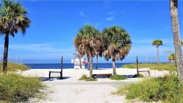3207 GREEN DOLPHIN STREET, Tarpon Springs, FL 34689