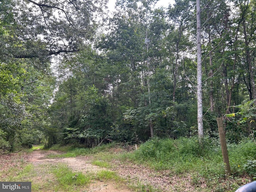 BICKERS LN, Orange, VA 22960