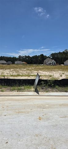 22819 Ella Falls Court, Porter, TX 77365