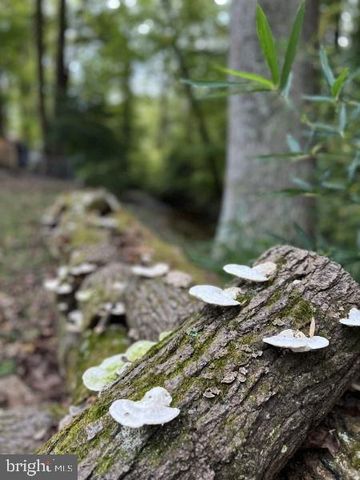 11527 TIMBERBROOK DR, Waldorf, MD 20601