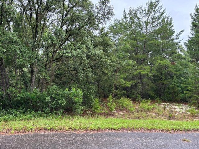 16 FISHER COURT WAY, Ocklawaha, FL 32179