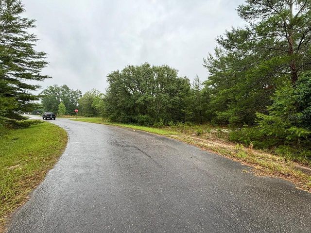 16 FISHER COURT WAY, Ocklawaha, FL 32179