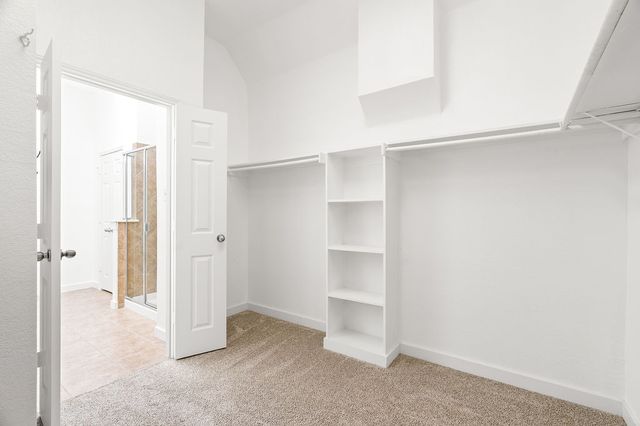 7577 Petersburgh Place, Frisco, TX 75035
