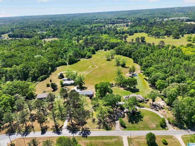 1035 TEMPLE ROAD, Clanton, AL 35045