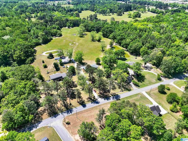 1035 TEMPLE ROAD, Clanton, AL 35045