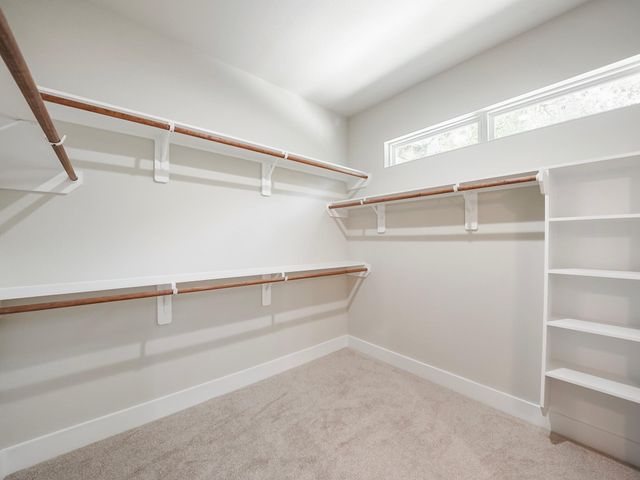 731 Magnolia Point Drive, Houston, TX 77336