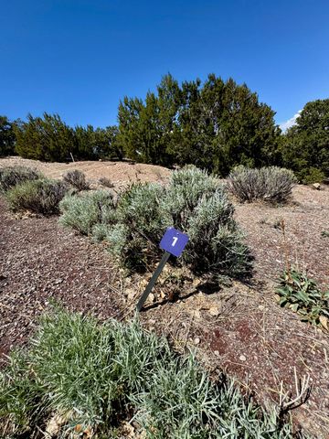 1084 S Summit Ridge, Santa Fe, NM 87501