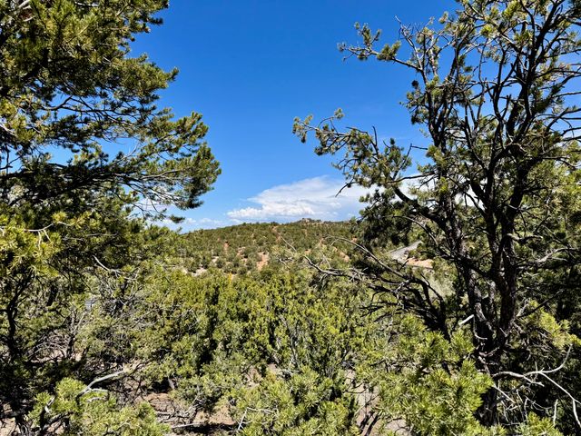 1084 S Summit Ridge, Santa Fe, NM 87501