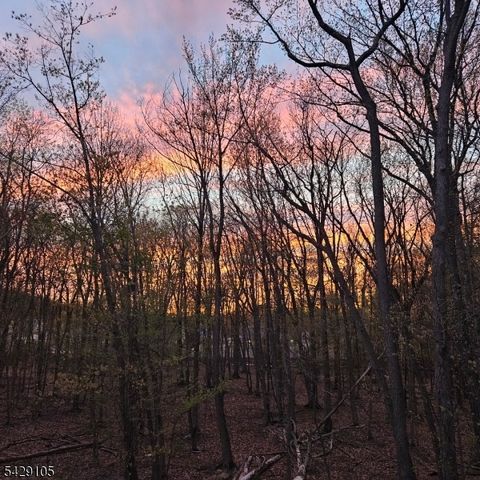 503 Abbe Rd, Little Falls Twp., NJ 07424