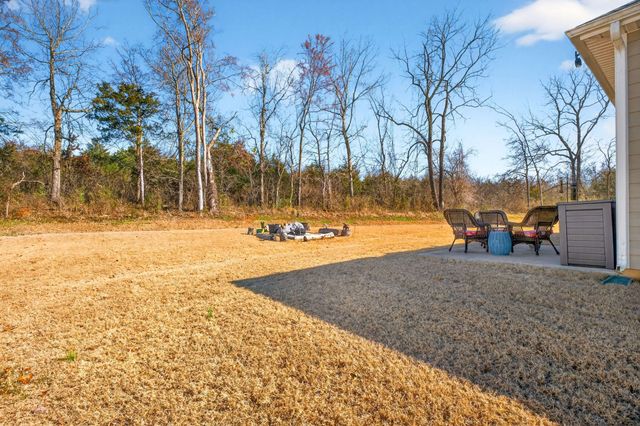 1027 Altavista Ln, Smyrna, TN 37167