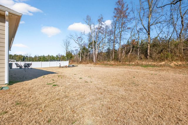 1027 Altavista Ln, Smyrna, TN 37167