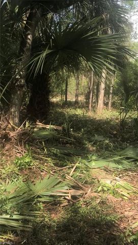 2780 66th AVE NE, Naples, FL 34120