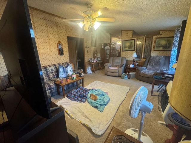 119 Theresa Drive, Graham, TX 76450