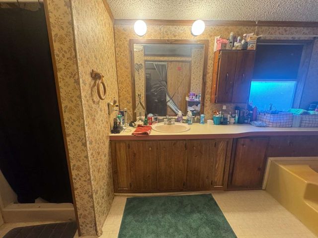 119 Theresa Drive, Graham, TX 76450