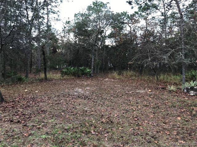 71 Corkwood Boulevard, Homosassa, FL 34446